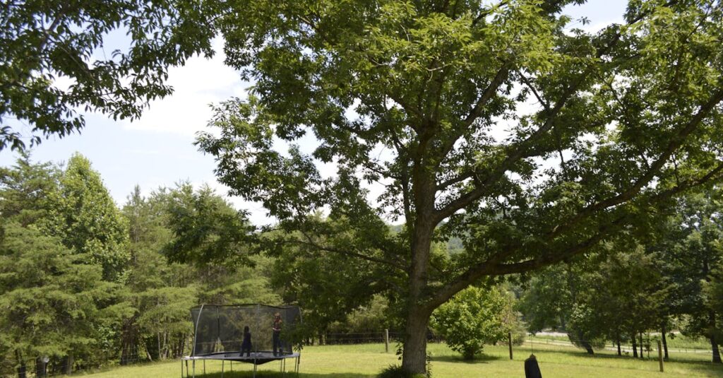 家族が安心してトランポリンを楽しむためにマットを敷いて安全対策をするイメージ