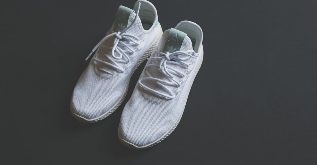 バネ式とゴム式トランポリンの構造と違いを比較する図解イメージ