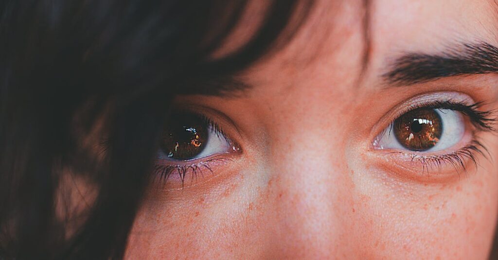 バネ式とゴム式トランポリンを10項目で比較したイメージ図