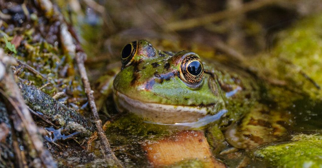 ジャンプの強さと防音効果の関係を解説する図解