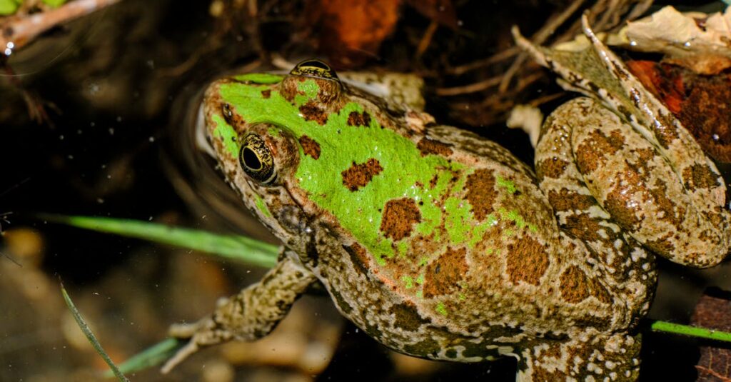 ジャンプの強さと防音効果の関係を解説する図解