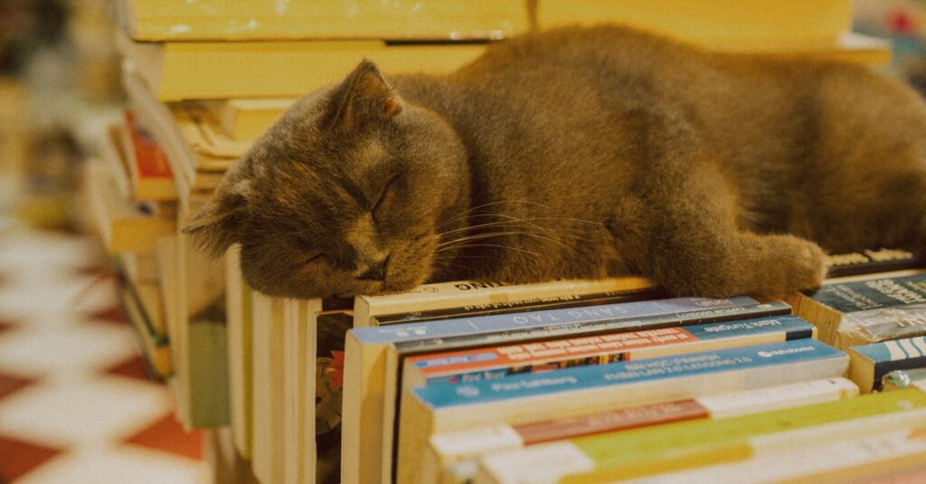 静音性に優れたトランポリンを室内で使用している様子。下の階への音を気にせず使える設計が特徴の画像。