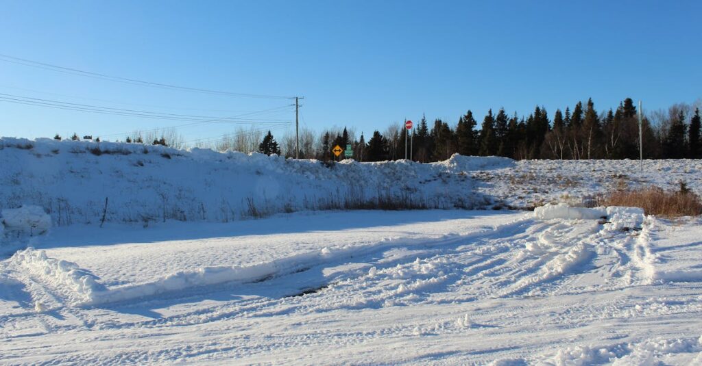 レビュー評価の高い折りたたみトランポリンTOP3を比較。実際の使用者の満足度に基づいた信頼できる選び方。