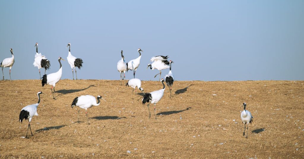 トランポリンで姿勢改善や肩こり軽減に取り組む大人の様子