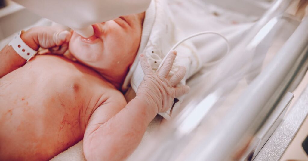 保育士が見守る中、手すり付きトランポリンで園児が安全に遊んでいる場面。保育士の安心感を象徴する写真