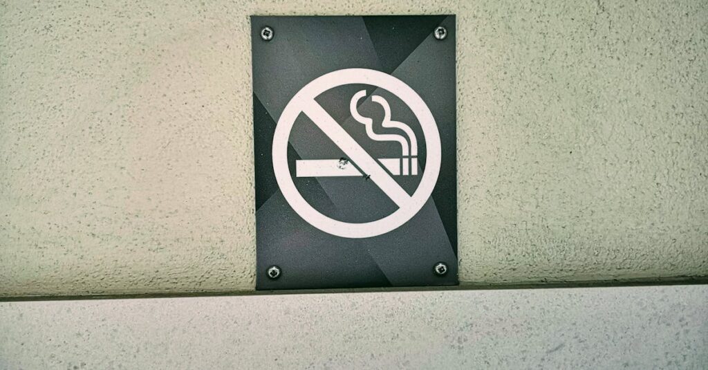 トランポリンの耐荷重と子ども用遊具に関する安全基準ガイドライン