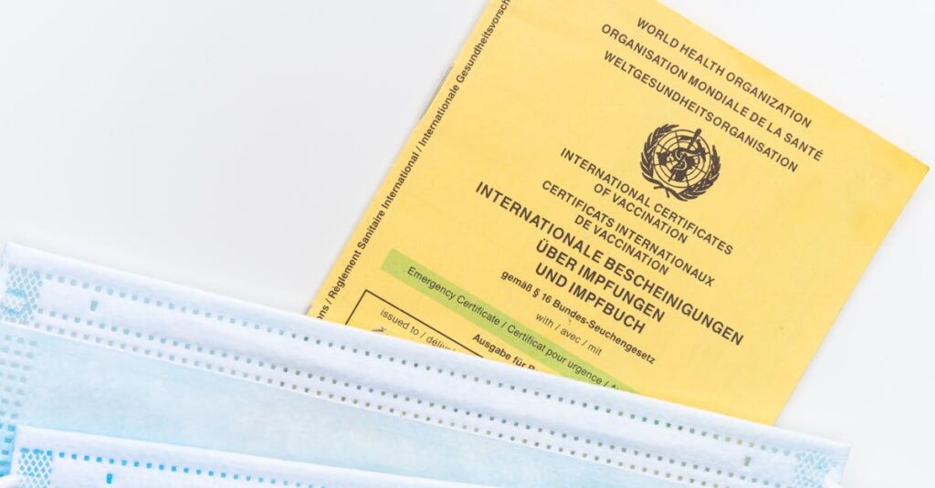 トランポリンに付与されるSGマークやSTマークなどの安全基準ラベルを説明する画像