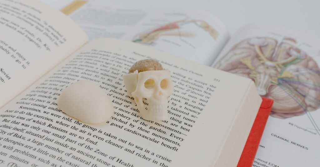 トランポリンスクールを続けて感じた良い点と後悔した点をまとめたイメージ