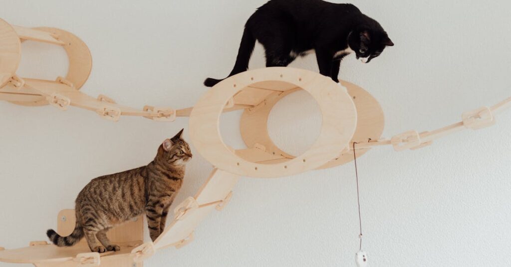 トランポリンに付与されるSGマークやSTマークなどの安全基準ラベルを説明する画像