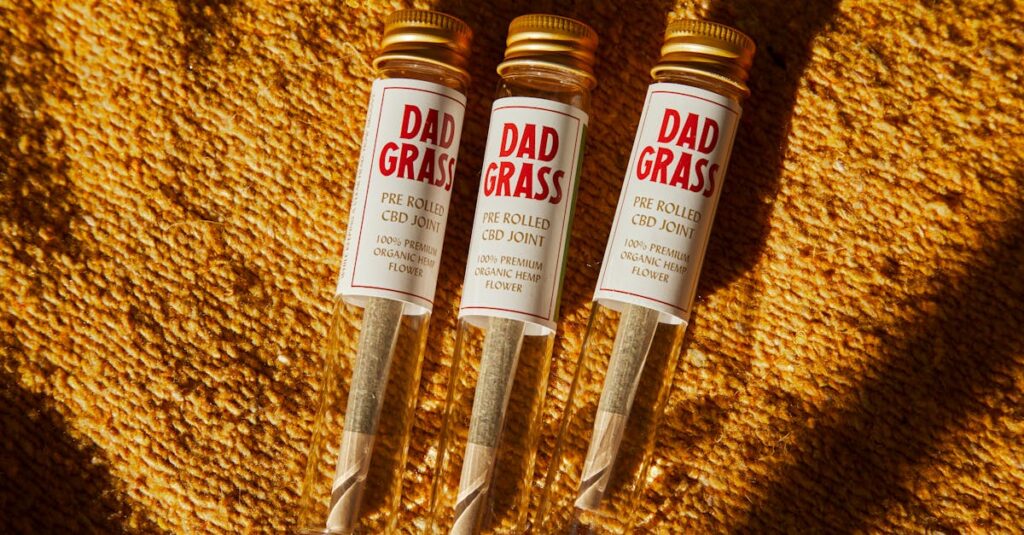 膝や腰に負担をかけずに安全に使えるトランポリンの使用シーン。ハンドル付きや軽いジャンプをしている様子。