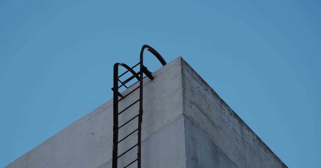 トランポリンにラダーを設置して安全に昇降する子どものイメージ画像