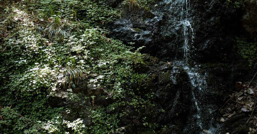 屋外トランポリンのバネカバーを正しく取り付けて安全に遊ぶイメージ