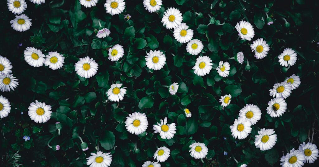 屋外トランポリンのおすすめバネカバーランキングで比較されているイメージ