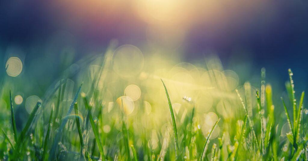 トランポリン運動前後にウォームアップとクールダウンを行うイメージ