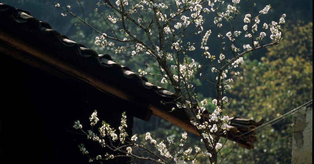 トランポリンのバネの数と跳ねやすさの関係を示す図