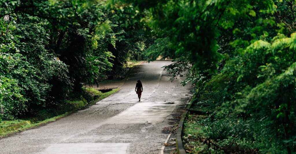 屋外で使用されているトランポリンネット、日光と雨による劣化のイメージ