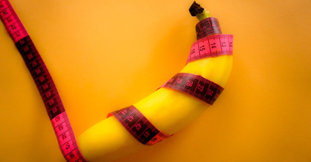 トランポリンネットのサイズ測定と選び方のイメージ