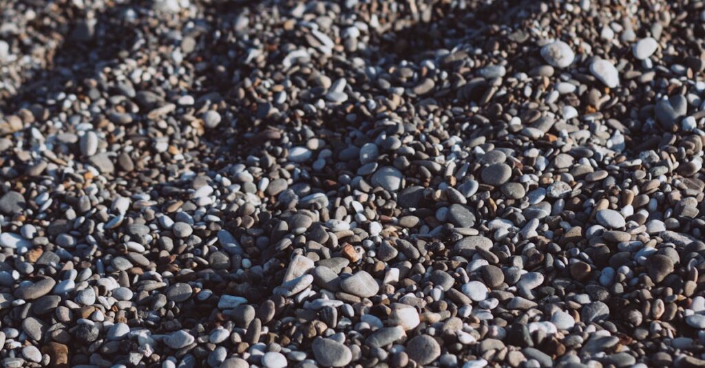 小型・中型・大型トランポリンを並べて直径を比較している図