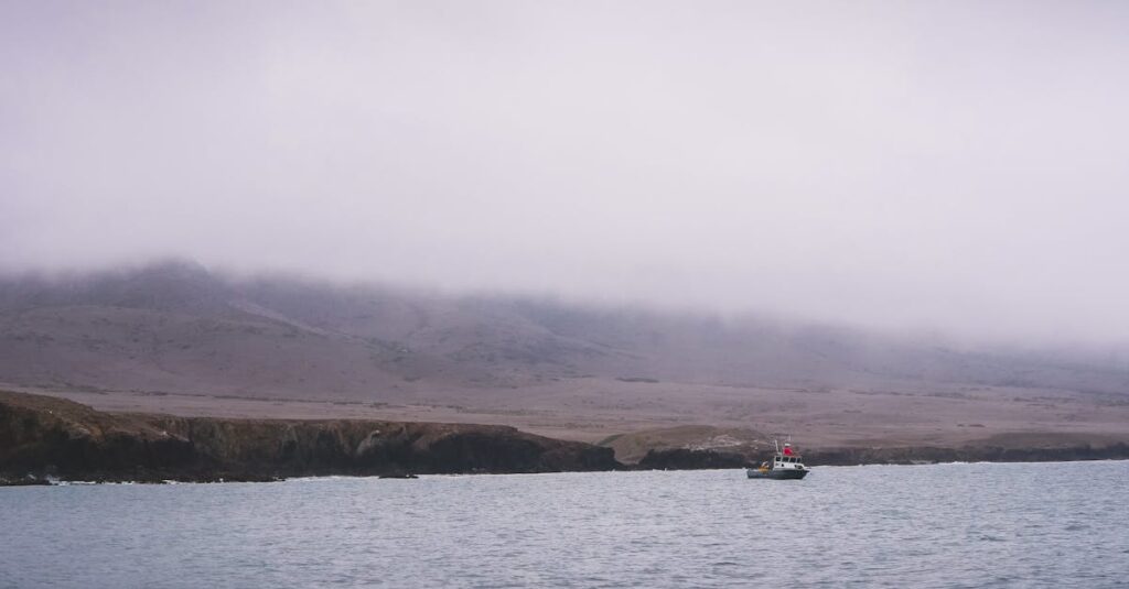 自作トランポリンネットと市販品のコスト・耐久性比較イメージ